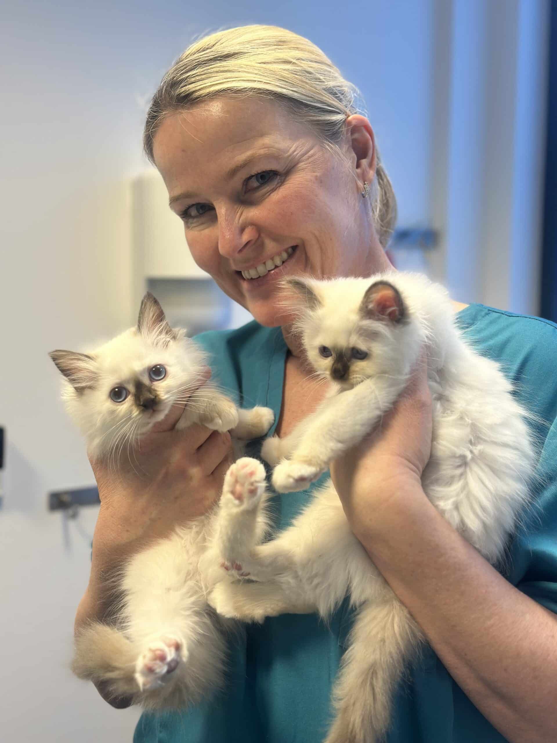 Veterinær Mai-Gret og kattunger